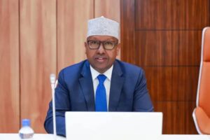 Defence Minister Ahmed Moalim Fiqi, who accused Somali politicians meeting in Abu Dhabi of learning from Sudan's RSF
