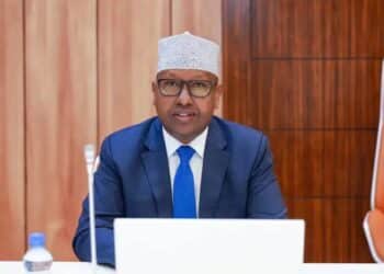 Defence Minister Ahmed Moalim Fiqi, who accused Somali politicians meeting in Abu Dhabi of learning from Sudan's RSF