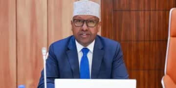 Defence Minister Ahmed Moalim Fiqi, who accused Somali politicians meeting in Abu Dhabi of learning from Sudan's RSF