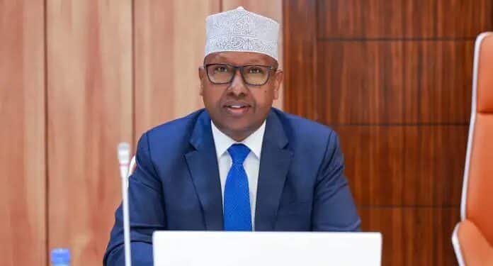 Defence Minister Ahmed Moalim Fiqi, who accused Somali politicians meeting in Abu Dhabi of learning from Sudan's RSF