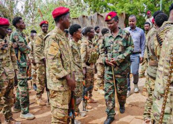 Doolow security forces and Jubaland Darawish lined up for inspection on 7 October 2026, the day the commissioner pledged to follow the policy of Ethiopian forces